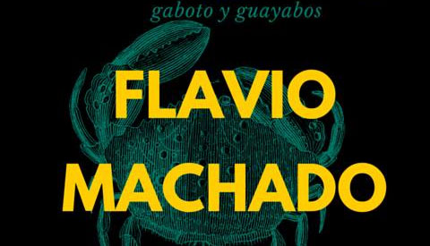 Flavio Machado