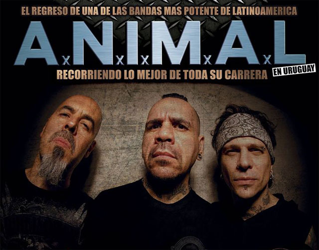 A.N.I.M.A.L.